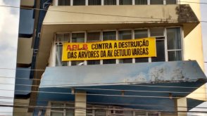 APLB é contra a derrubada das árvores da Getúlio Vargas